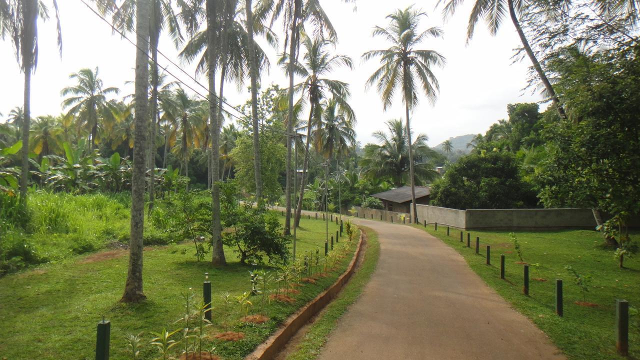 Ma Oya Retreat Pinnawala Пиннавела Экстерьер фото